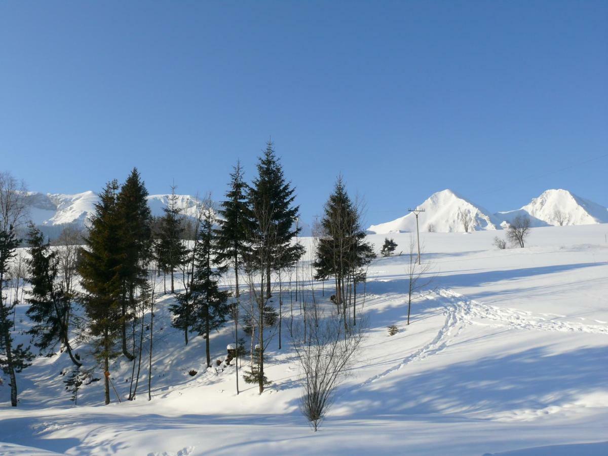 Goralska Obora Pensionat Ždiar Exteriör bild
