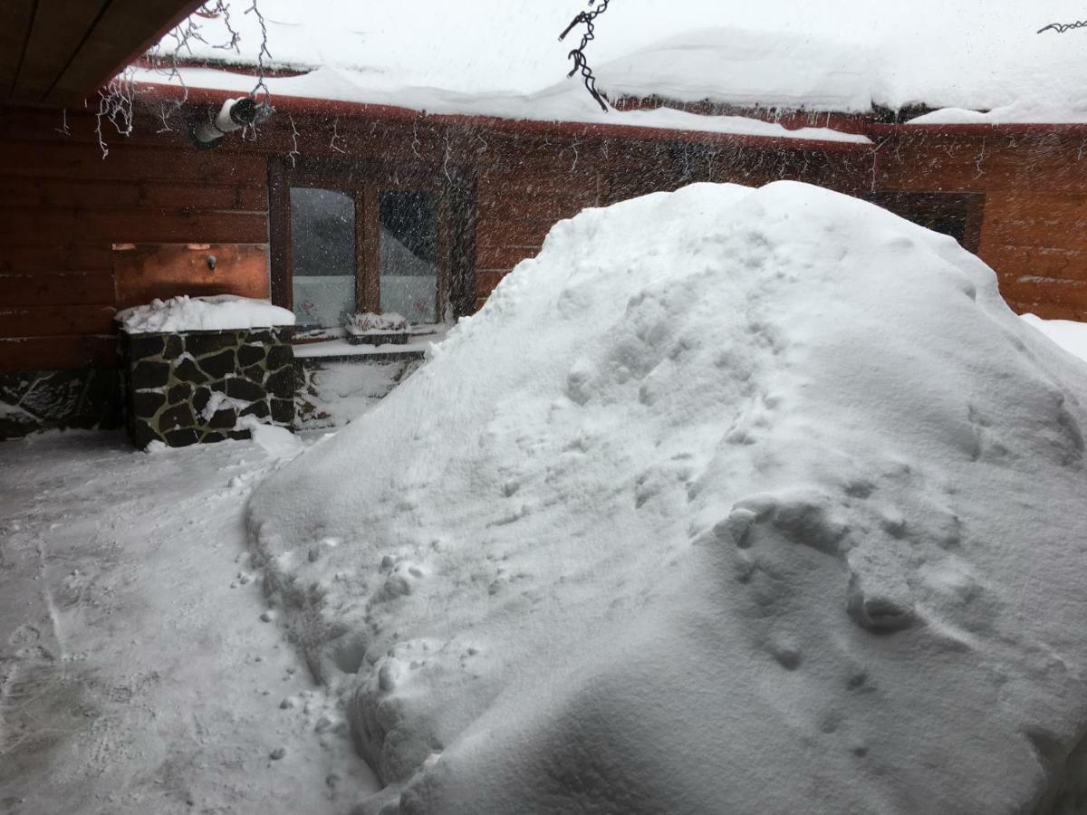 Goralska Obora Pensionat Ždiar Exteriör bild